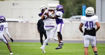 Minnesota Vikings, TJ Hockenson, Gabriel Murphy