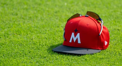 Minnesota Twins