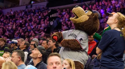 Minnesota Twins mascot - TC Bear