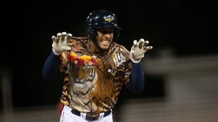 Emmanuel Rodriguez, Minnesota Twins