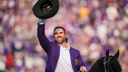 NFL: Arizona Cardinals at Minnesota Vikings