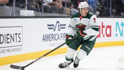 Brock Faber, Minnesota WIld