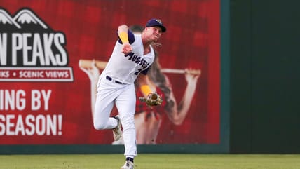 Walker Jenkins, Minnesota Twins