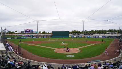 Minnesota Twins
