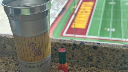 Minnesota Gophers