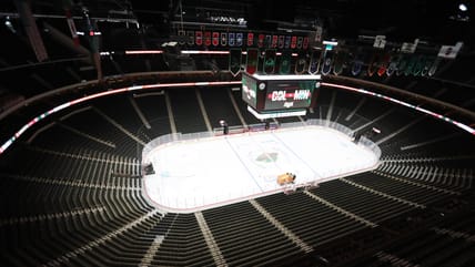 Minnesota Wild