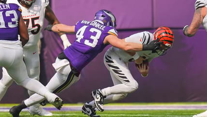 Andrew Van Ginkel, Minnesota Vikings