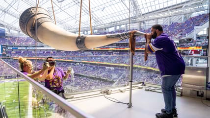Minnesota Vikings