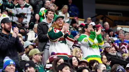 Minnesota WIld