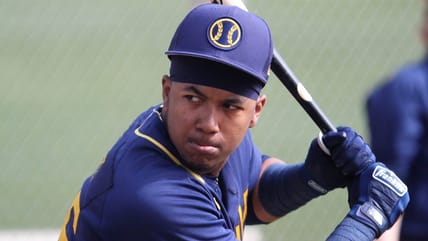 Newly Acquired MN Twins Prospect Headlines AFL Roster