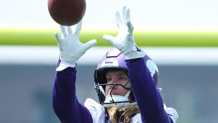 Andrew Van Ginkel, Minnesota Vikings