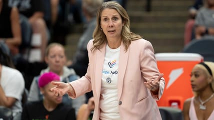 Cheryl Reeve, Minnesota Lynx