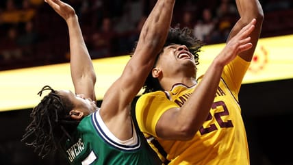 Robert Vaihola, Minnesota Gophers