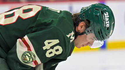 Daemon Hunt, Minnesota Wild