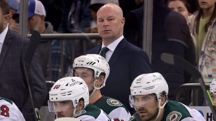 John Hynes, Minnesota Wild
