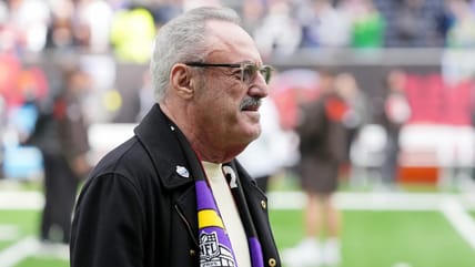 Zygi Wilf, Minnesota Vikings