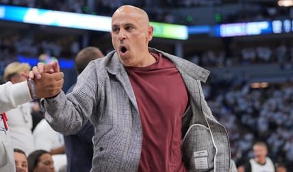 Marc Lore, Minnesota Timberwolves