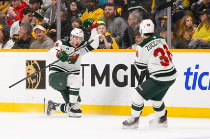 Minnesota Wild, David Jiricek
