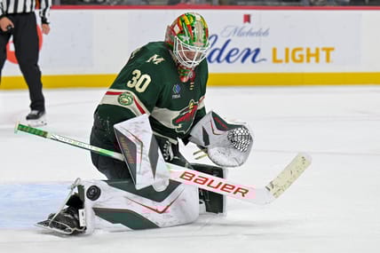 Jesper Wallstedt, Minnesota Wild