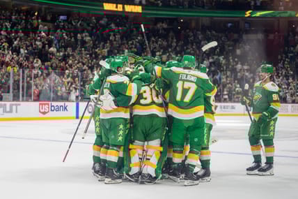 Minnesota Wild