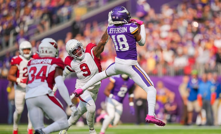 NFL: Arizona Cardinals at Minnesota Vikings