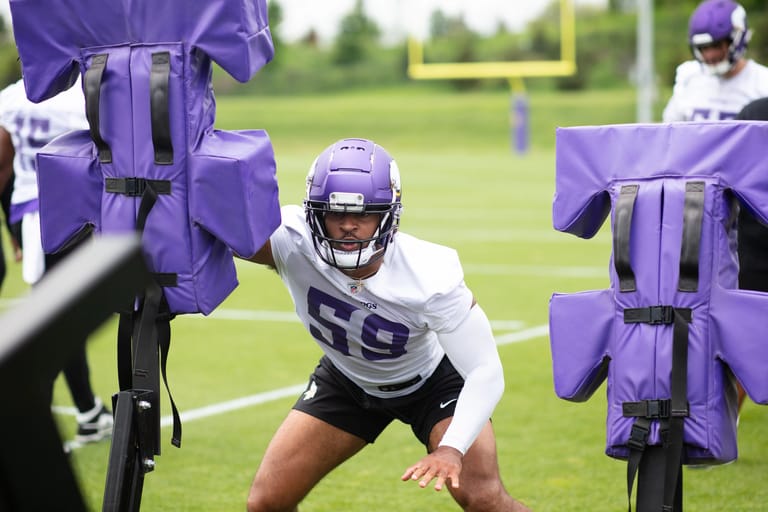Gabriel Murphy, Minnesota Vikings