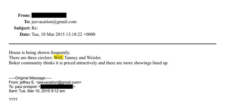 Minnesota Vikings owner Mark Wilf - Epstein Files