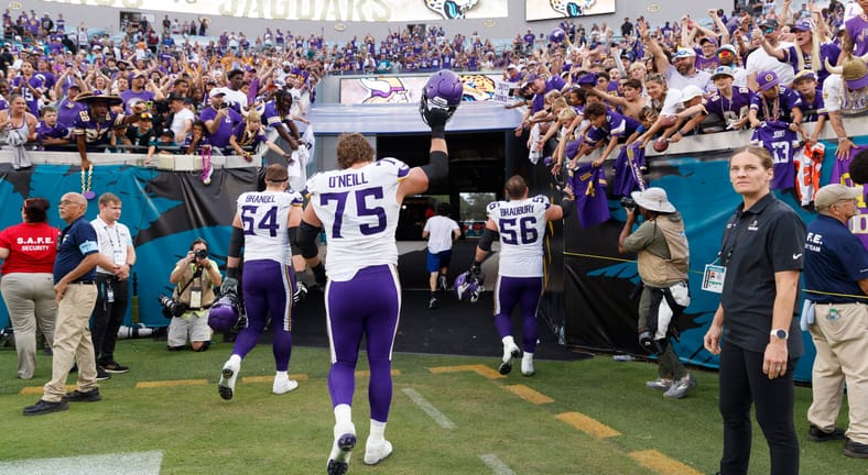 Minnesota Vikings offensive line