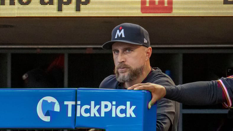 Rocco Baldelli, Minnesota Twins