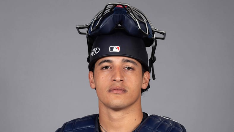 Diego Cartaya, Minnesota Twins