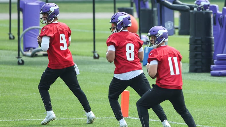 Brett Rypien, Minnesota Vikings