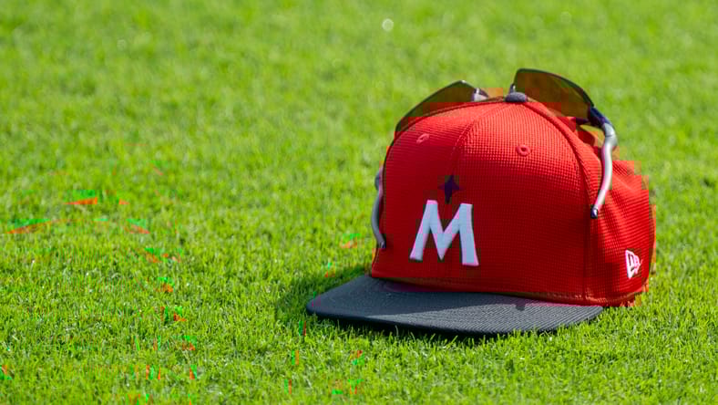 Minnesota Twins
