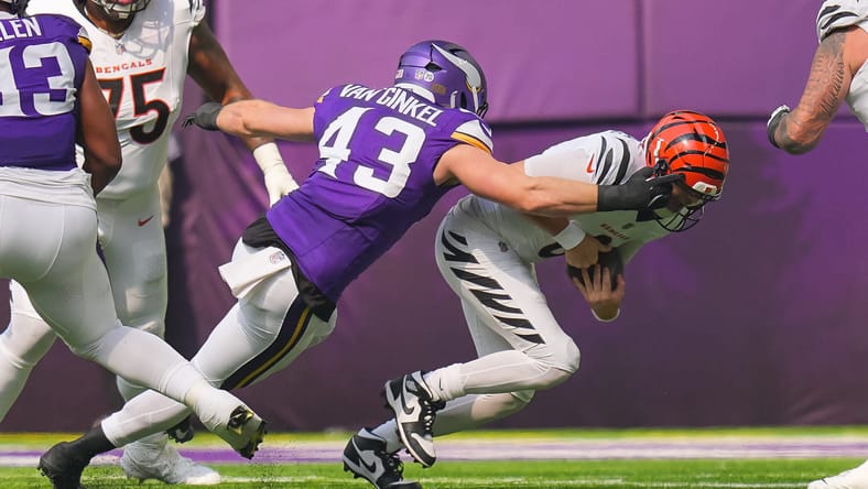 Andrew Van Ginkel, Minnesota Vikings