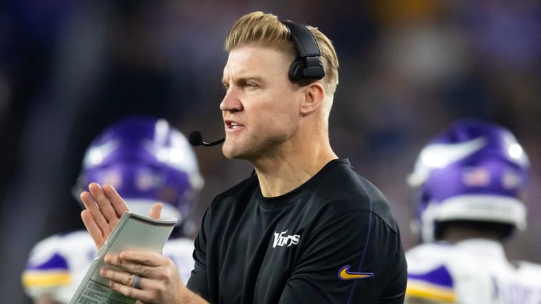 Josh McCown, Minnesota Vikings