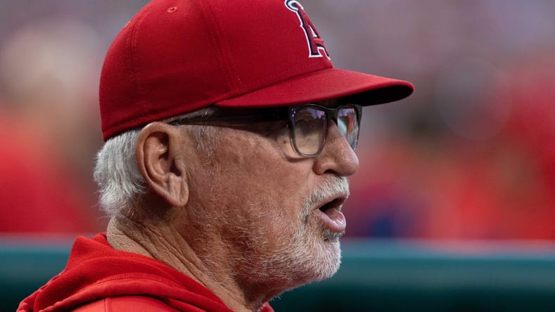 Joe Maddon