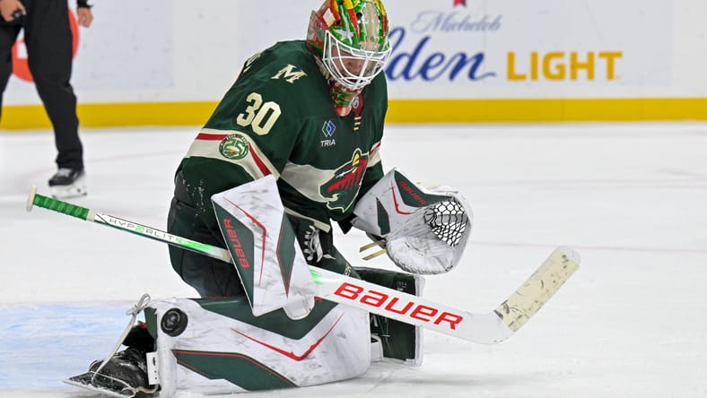 Jesper Wallstedt, Minnesota Wild
