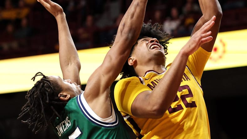 Robert Vaihola, Minnesota Gophers