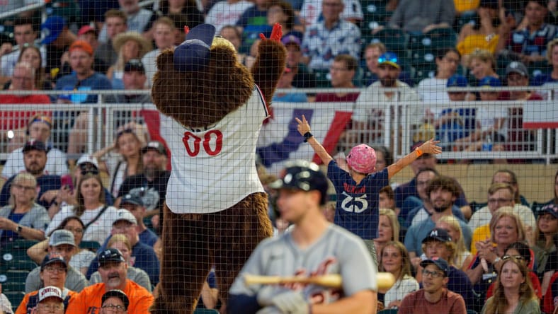 Minnesota Twins fans