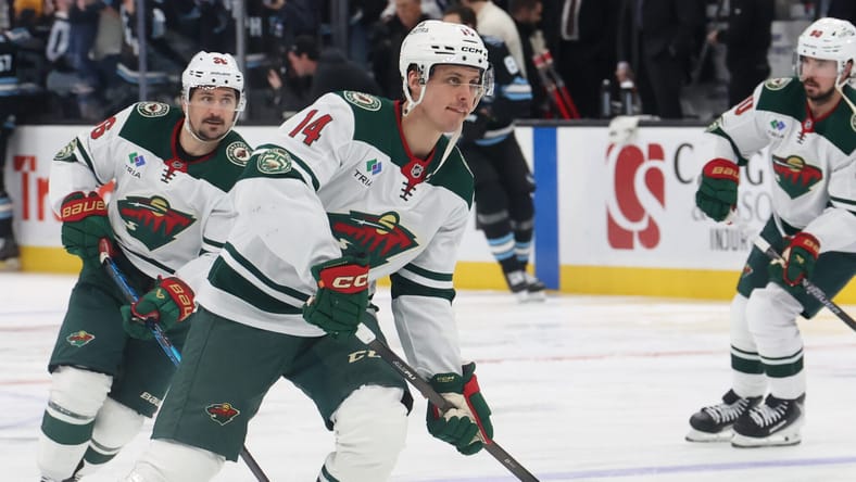 Joel Eriksson Ek - Minnesota Wild