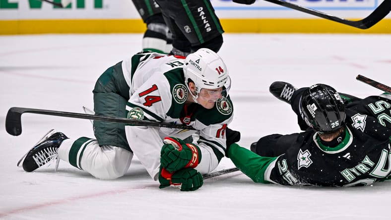 Joel Eriksson Ek - Minnesota Wild