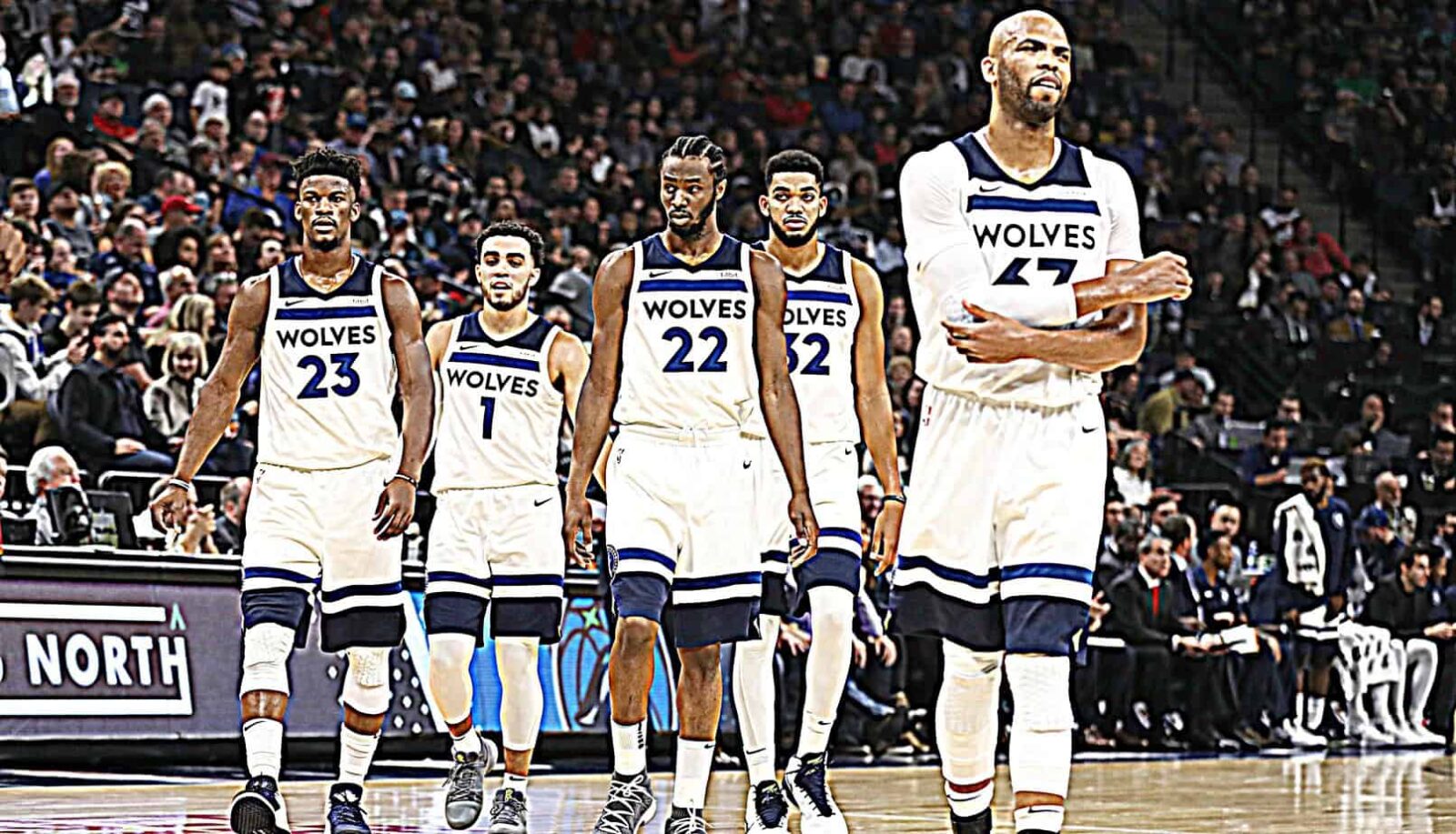 team minnesota timberwolves